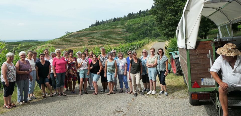 Lustige Planwagenfahrt durch Weinberge Schwarzwälder Post