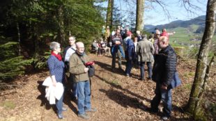 Mit dem Schwarzwaldverein Zell dem Frühling auf der Spur