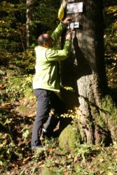 Schwarzwaldverein hält Wege und Wegweiser in Schuss