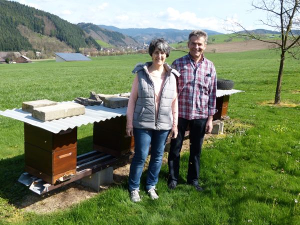 Bienen anstelle von Kühen und Schweinen