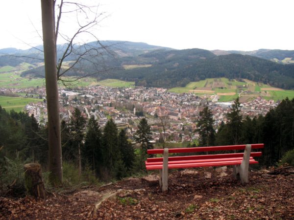 Neue Bank mit Weitblick macht Badwald für Wanderer attraktiv