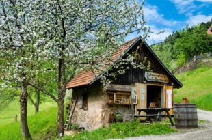 Genussvoll wandern von Brennhisli zu Brennhisli