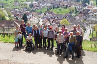 Rundtour mit Burgbesichtigung