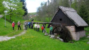 Alpenverein genoss Höhenluft in einem der schönsten Schwarzwaldtäler