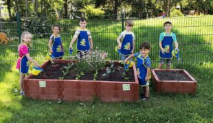 Kinder pflanzen Gemüse-Setzlinge