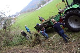 Naturgruppe des Kinderhauses Sonnenblume startet mit einem Übergangskonzept