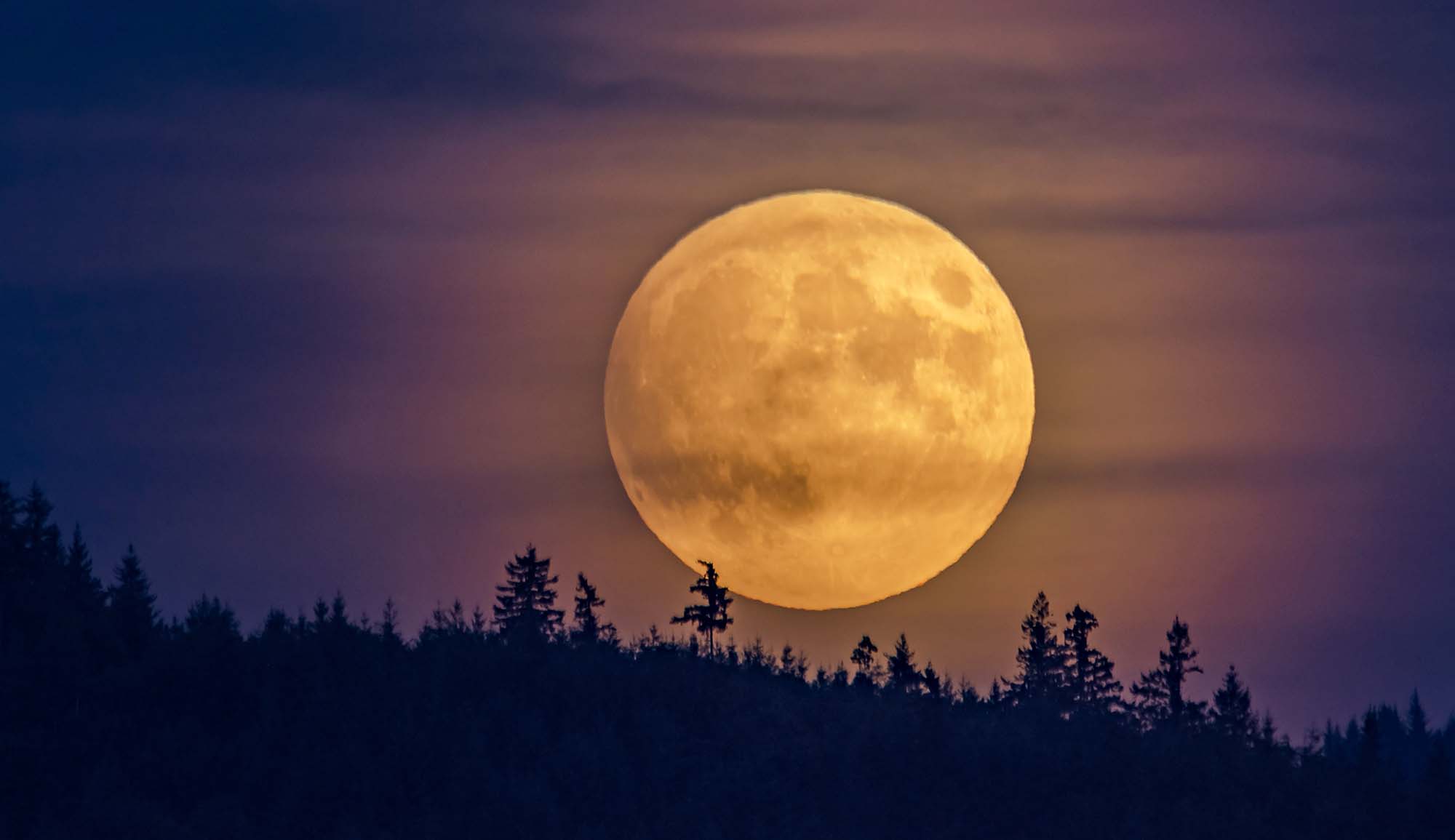 Nächste Vollmond-Tour startet am Montag, 3. Juli | Schwarzwälder Post