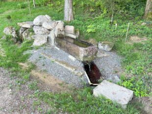 Löchlehofbrunnen  erfreut mit Quellwasser