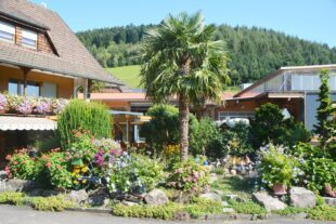 Sommerliche Blütenpracht am Eingang zum Nordrachtal