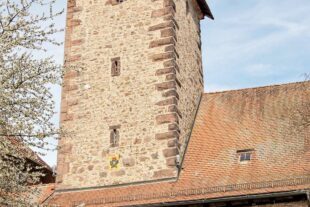 2024-8-30-ZE-Storchenturm-Museum- Ausstellung-Storchenturm Zell a.H. Foto Borsi BR