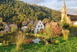 2024-9-20-OH-Tourist-Auf dem Weg zum Billersberg