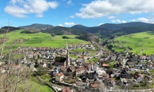 Oberharmersbacher Leistungsschau am Sonntag, 20. Oktober 2024 von 11 bis 18 Uhr