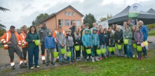 Wir säen eine bunte Wildblumenwiese