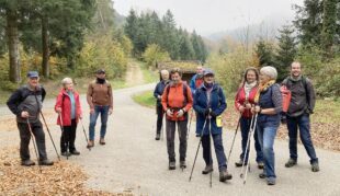 Durch das Nebelmeer in den Sonnenschein