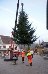 Ab dem 1. Advent erstrahlt wieder das Zeller Tannenbaumstädtle