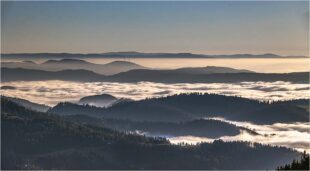 Herbstliche Traumlandschaften bei Nebel und Sonnenschein